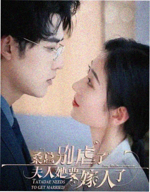 电视剧全集免费观看之长街灯火海报